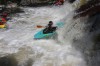 Thumbs/tn_Img_3990.jpg