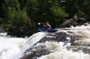 Thumbs/tn_Img_2147.jpg