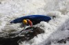 Thumbs/tn_Img_2160.jpg