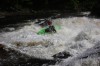Thumbs/tn_Img_2190.jpg
