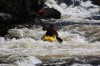 Thumbs/tn_Img_2229.jpg