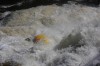 Thumbs/tn_Img_2235.jpg