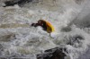 Thumbs/tn_Img_2236.jpg