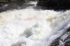 Thumbs/tn_Img_2249.jpg