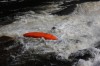 Thumbs/tn_Img_2252.jpg