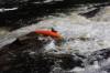 Thumbs/tn_Img_2253.jpg