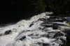Thumbs/tn_Img_2284.jpg