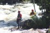 Thumbs/tn_Img_2291.jpg
