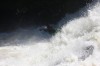 Thumbs/tn_Img_2295.jpg