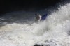Thumbs/tn_Img_2324.jpg