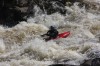 Thumbs/tn_Img_2329.jpg
