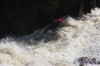 Thumbs/tn_Img_2331.jpg