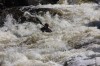 Thumbs/tn_Img_2339.jpg