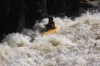 Thumbs/tn_Img_2342.jpg
