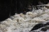 Thumbs/tn_Img_2364.jpg