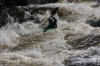 Thumbs/tn_Img_2380.jpg