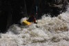 Thumbs/tn_Img_2396.jpg