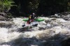Thumbs/tn_Img_2410.jpg