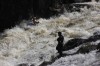 Thumbs/tn_Img_2434.jpg