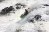 Thumbs/tn_Img_2451.jpg
