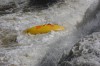 Thumbs/tn_Img_2474.jpg