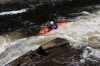 Thumbs/tn_Img_2497.jpg