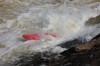 Thumbs/tn_Img_2525.jpg