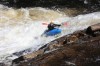 Thumbs/tn_Img_2572.jpg