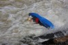 Thumbs/tn_Img_2575.jpg