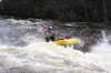 Thumbs/tn_Img_5450.jpg