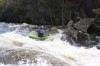 Thumbs/tn_Img_5563.jpg