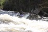 Thumbs/tn_Img_5583.jpg