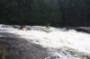 Thumbs/tn_Img_5610.jpg