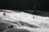 Thumbs/tn_Img_5612.jpg