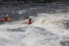 Thumbs/tn_Img_5658.jpg