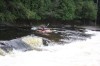Thumbs/tn_Img_5663.jpg