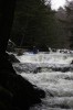 Thumbs/tn_Img_4311t.jpg