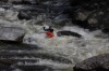 Thumbs/tn_Img_6682.jpg