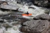 Thumbs/tn_Img_6687.jpg