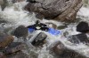 Thumbs/tn_Img_6716.jpg