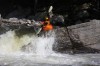 Thumbs/tn_Img_6728.jpg