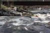 Thumbs/tn_Img_6789.jpg