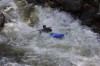Thumbs/tn_Img_6800.jpg
