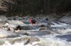 Thumbs/tn_Img_6868.jpg