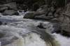 Thumbs/tn_Img_6978.jpg