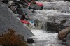 Thumbs/tn_Img_1052.jpg
