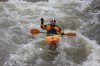 Thumbs/tn_Img_3911.jpg