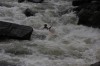 Thumbs/tn_Img_3981.jpg
