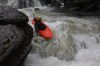 Thumbs/tn_Img_3987.jpg