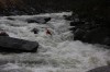 Thumbs/tn_Img_4007.jpg